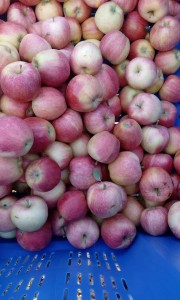 20799976_746086795596772_6236095813143529710_n