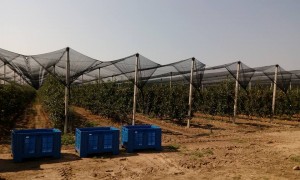 20840706_746086522263466_8646832336810230747_n